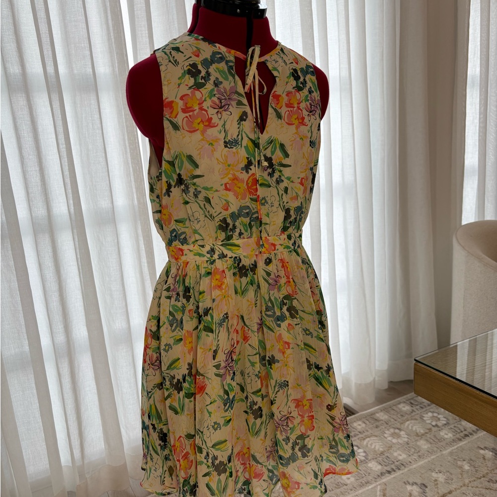 Ted Baker Cream Floral Mini Dress